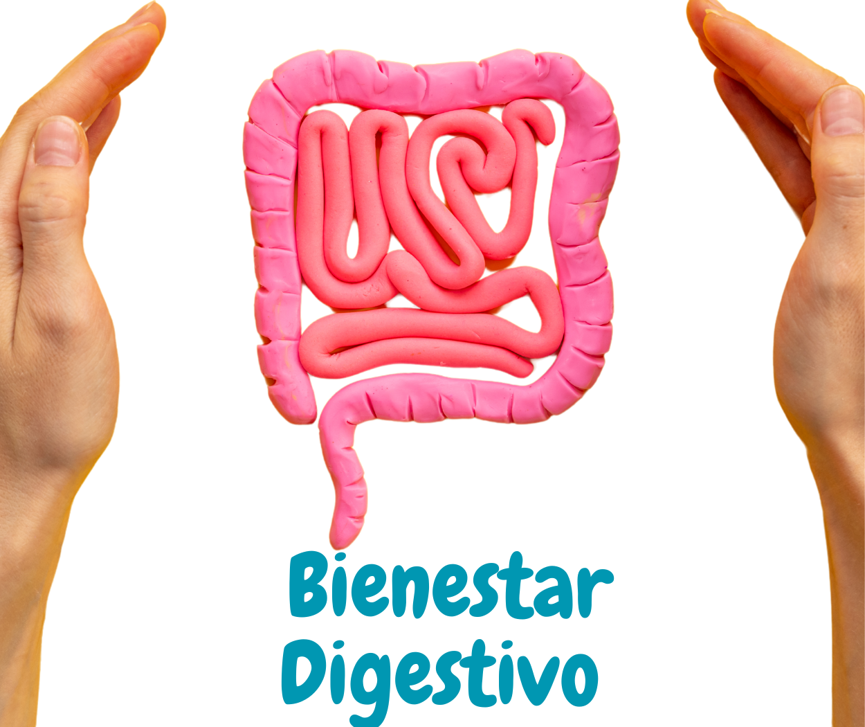 Probióticos factor de transfer https://www.bioinmuno.com/collections/suplementos/products/microbiota-intestinal-paquete-promocion