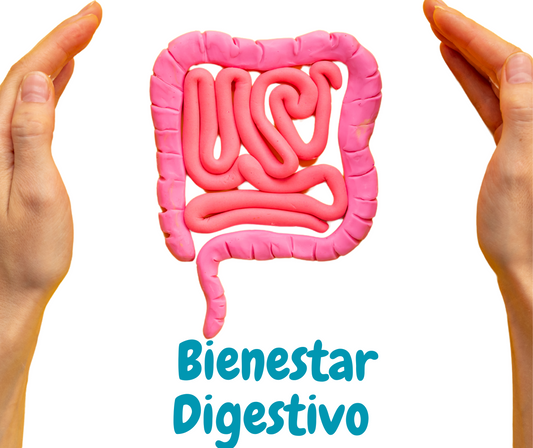 Probióticos factor de transfer https://www.bioinmuno.com/collections/suplementos/products/microbiota-intestinal-paquete-promocion